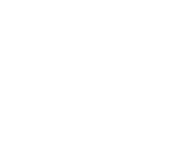 DCU Logo